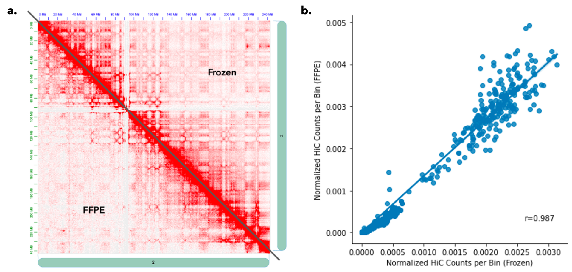 Genome wide HiC_3D Genome Structure_Image