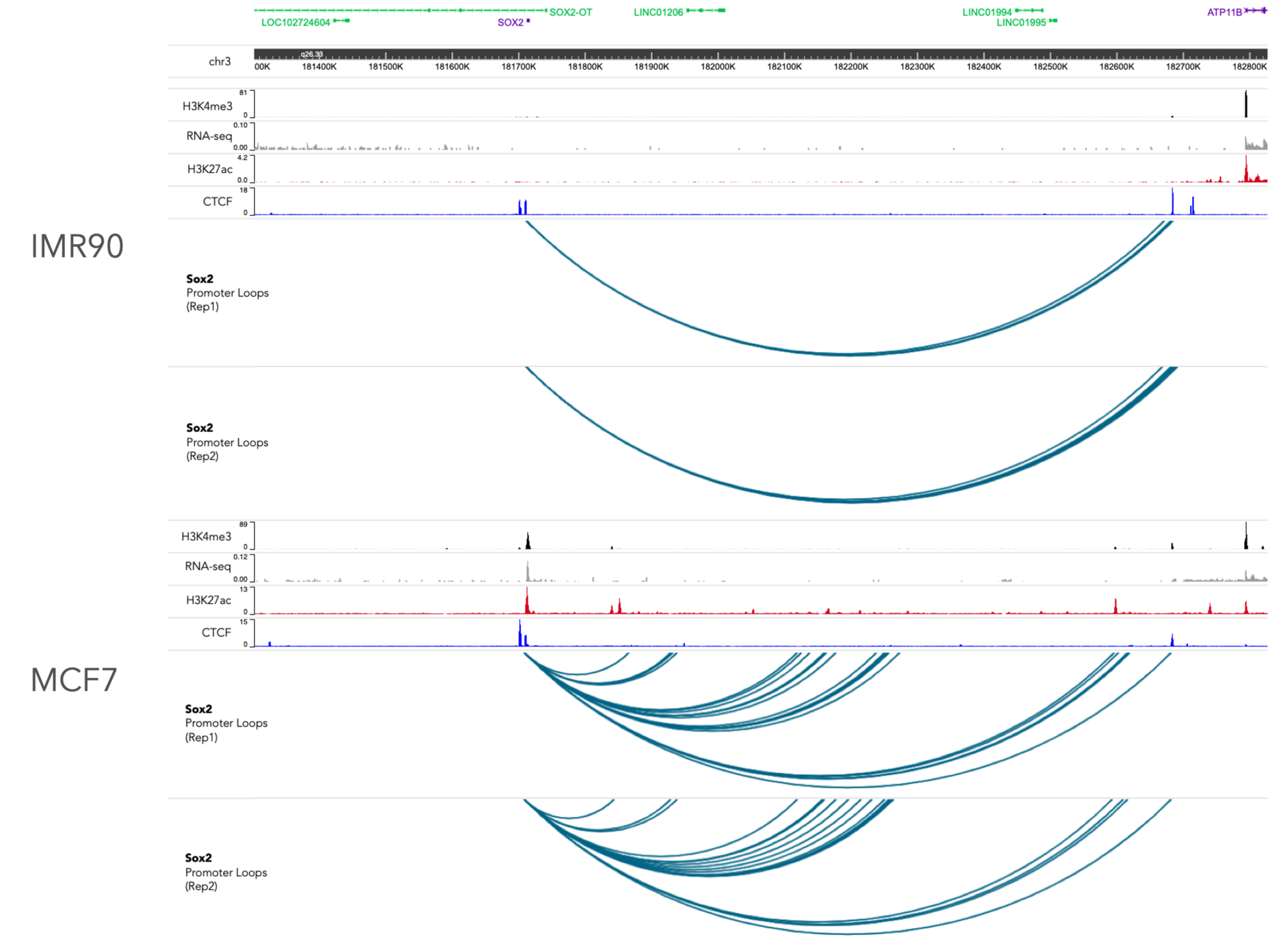 Promoter Capture_Image