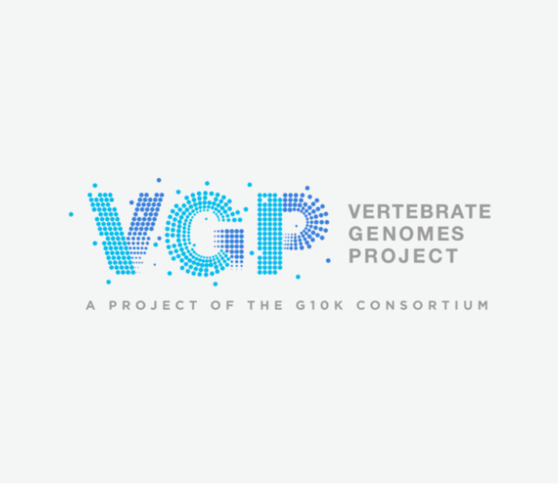 VGP_Press Release_Logo